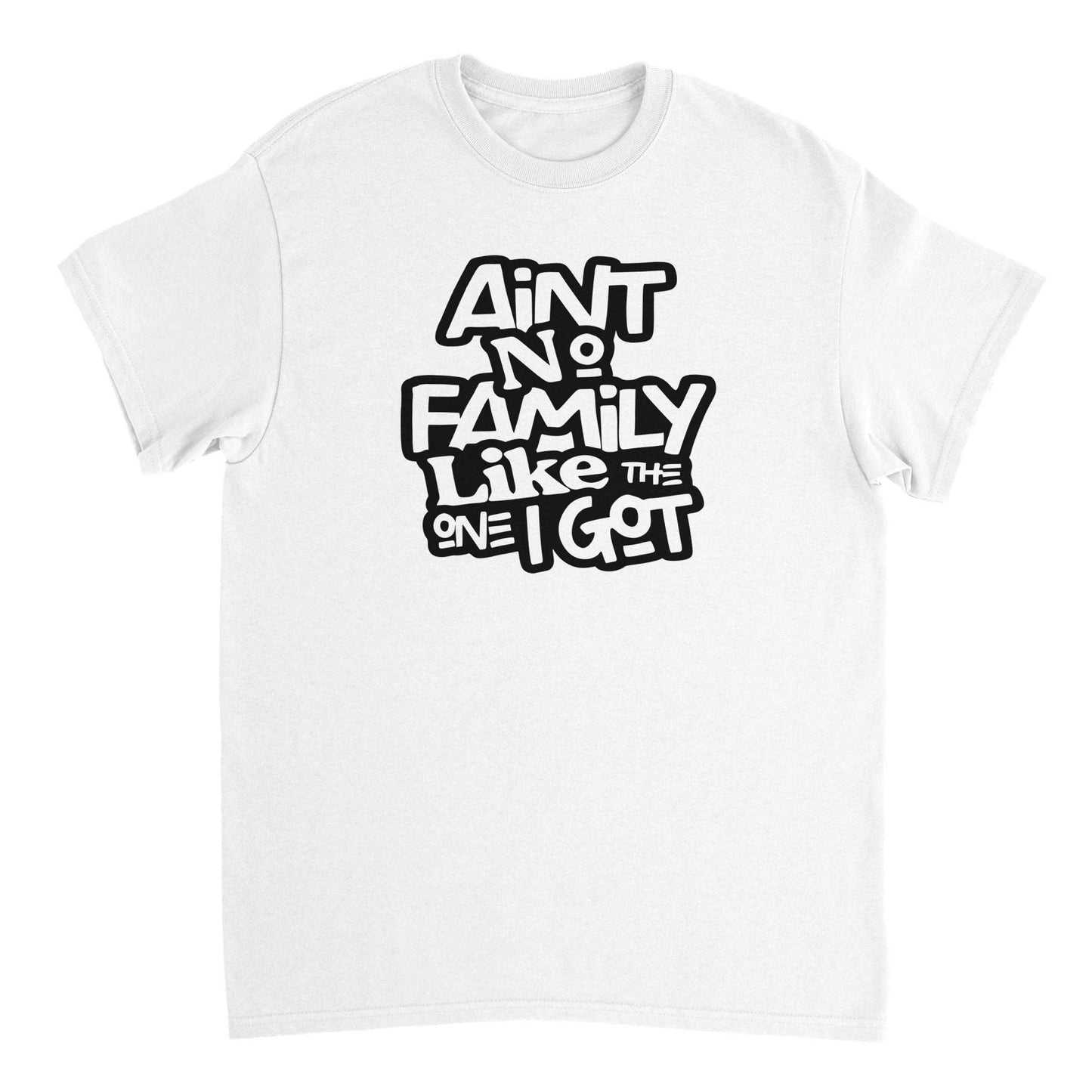 Ain't No Family Like the One I Got T-shirt - Mister Snarky's