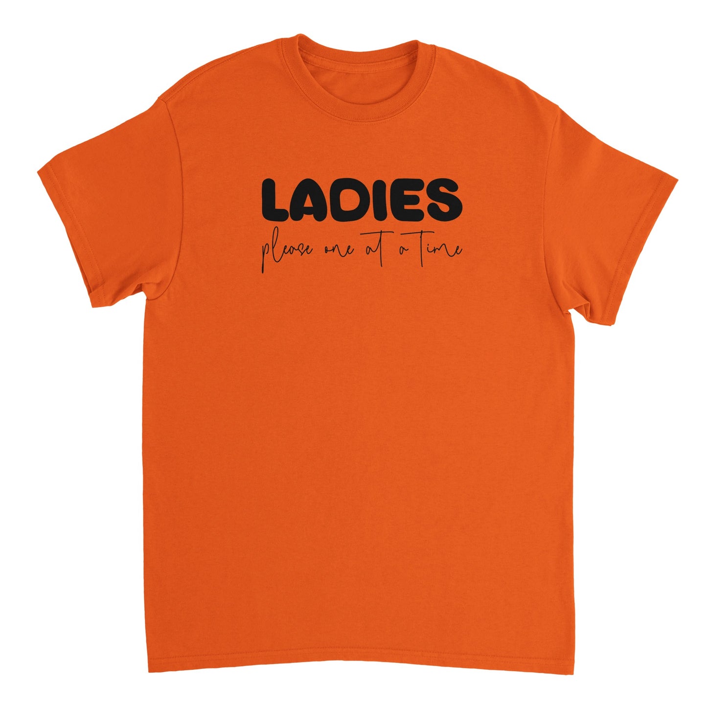 Ladies Please T-shirt - Mister Snarky's